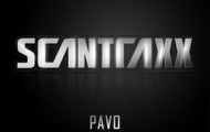 Pavo-Let's Go!