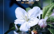 Calippo-Mr. Love You