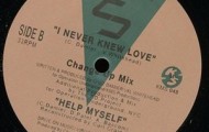 Chez Damier-I Never Knew Love