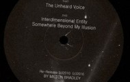 Milton Bradley-The Unheard Voice