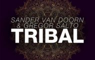 Sander Van Doorn and Gregor Salto-Tribal