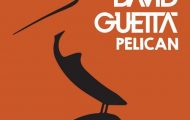 David Guetta-Pelican