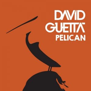 David Guetta-Pelican
