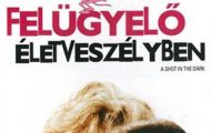 Felügyelő életveszélyben