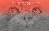 Sezer Uysal Coyu-Cygnus Remixes Part 1