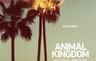 Animal Kingdom