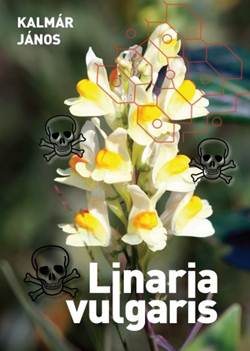 Kalmár János-Linaria vulgaris