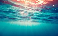 Matan Caspi-Shiny Coral Reefs