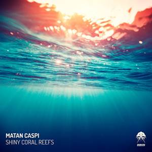Matan Caspi-Shiny Coral Reefs