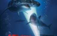 47 méter mélyen, 47 Meters Down