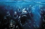 Piranha 3-D (2010)